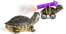 Give Your Business a Marketing Makeover in 2012