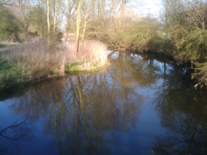 The Tranquil Backwaters of Chelmsford City