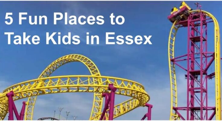 5 Fun Places to Take Foster Children in Essex